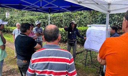 Productores de café conocen resultados de investigación en Costa Rica en día de campo